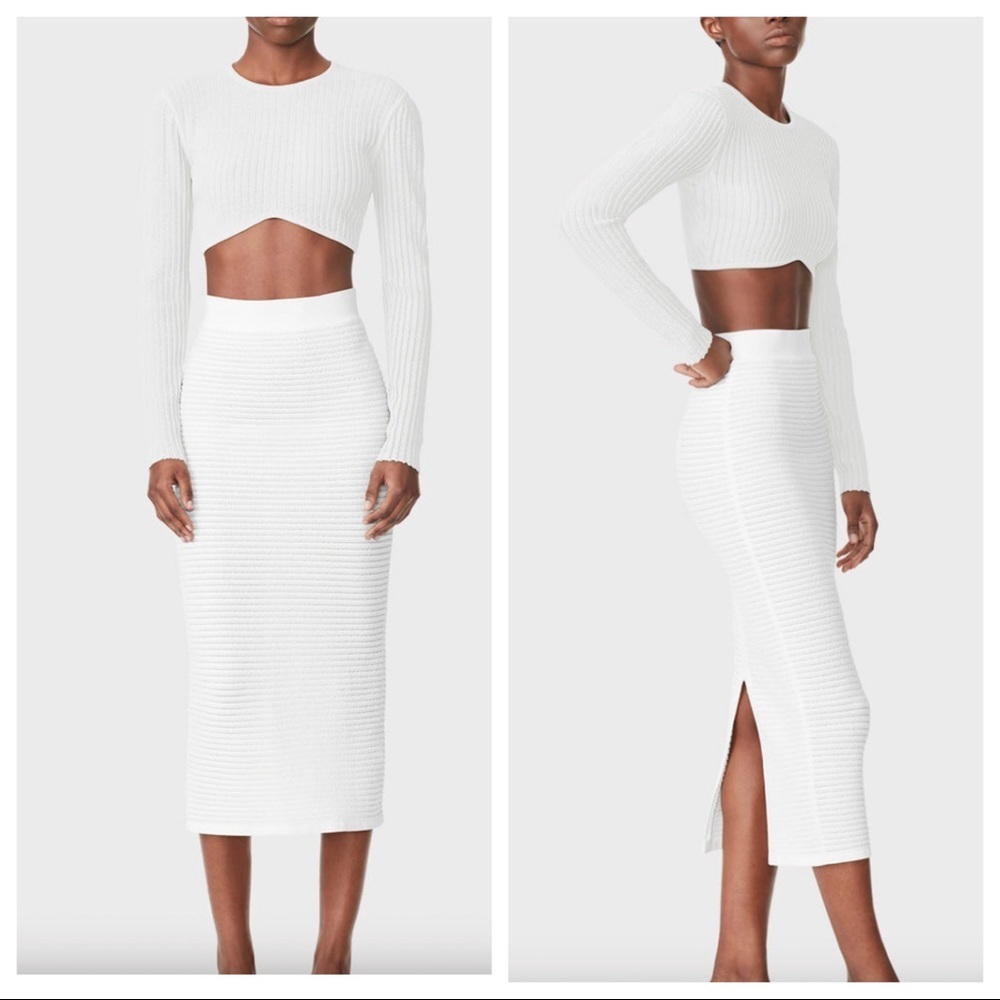 Herve Leger SHEER STRIPED MIDI SKIRT Sz S NWT Retail $890. Worn once.